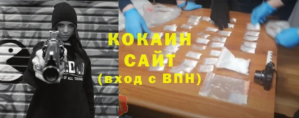 эйфоретик Бородино