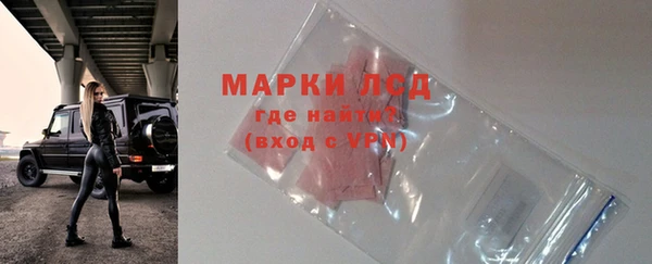индика Рославль